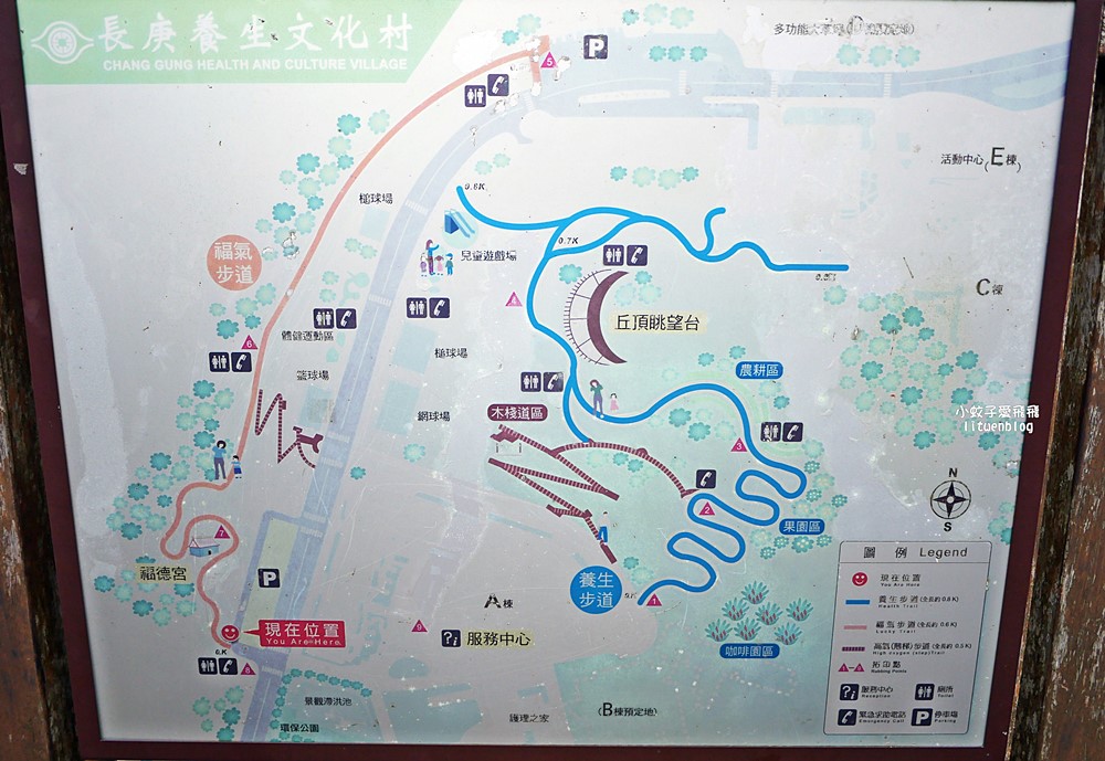 桃園「長庚養生文化村落羽松公園」環湖落羽松林與倒影優美浪漫