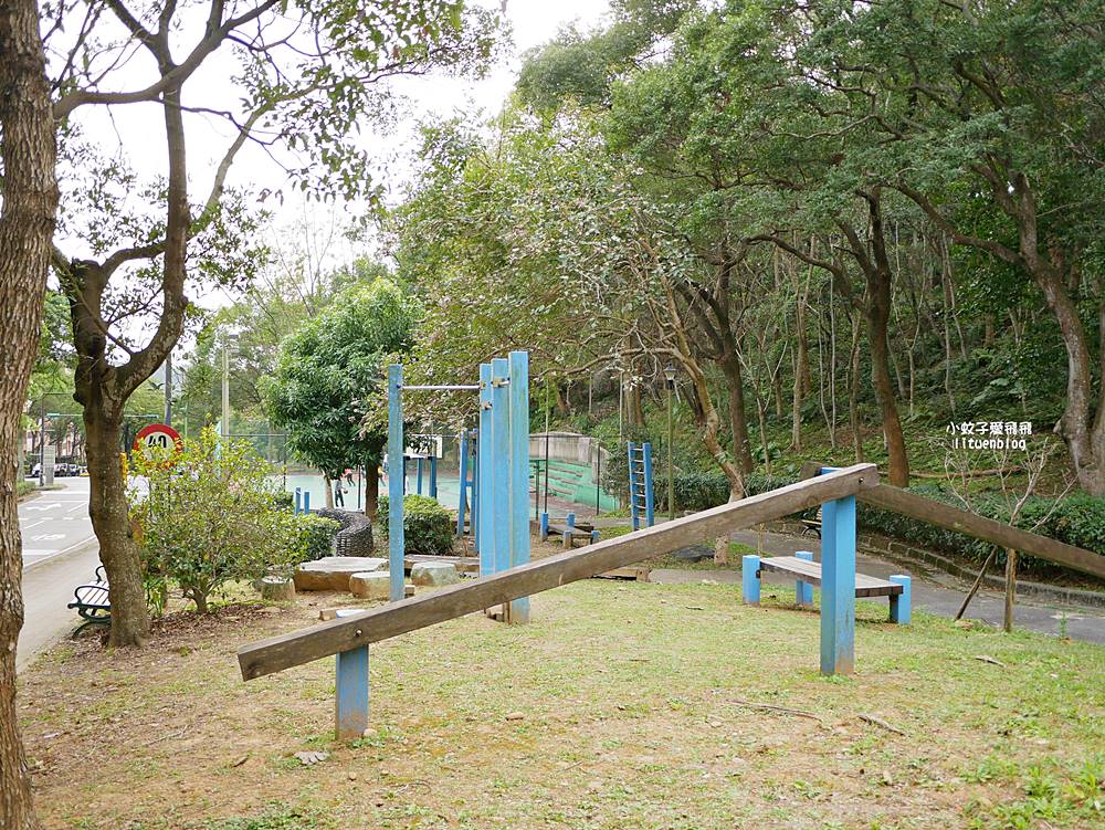 桃園「長庚養生文化村落羽松公園」環湖落羽松林與倒影優美浪漫