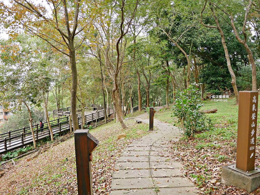 桃園「長庚養生文化村落羽松公園」環湖落羽松林與倒影優美浪漫