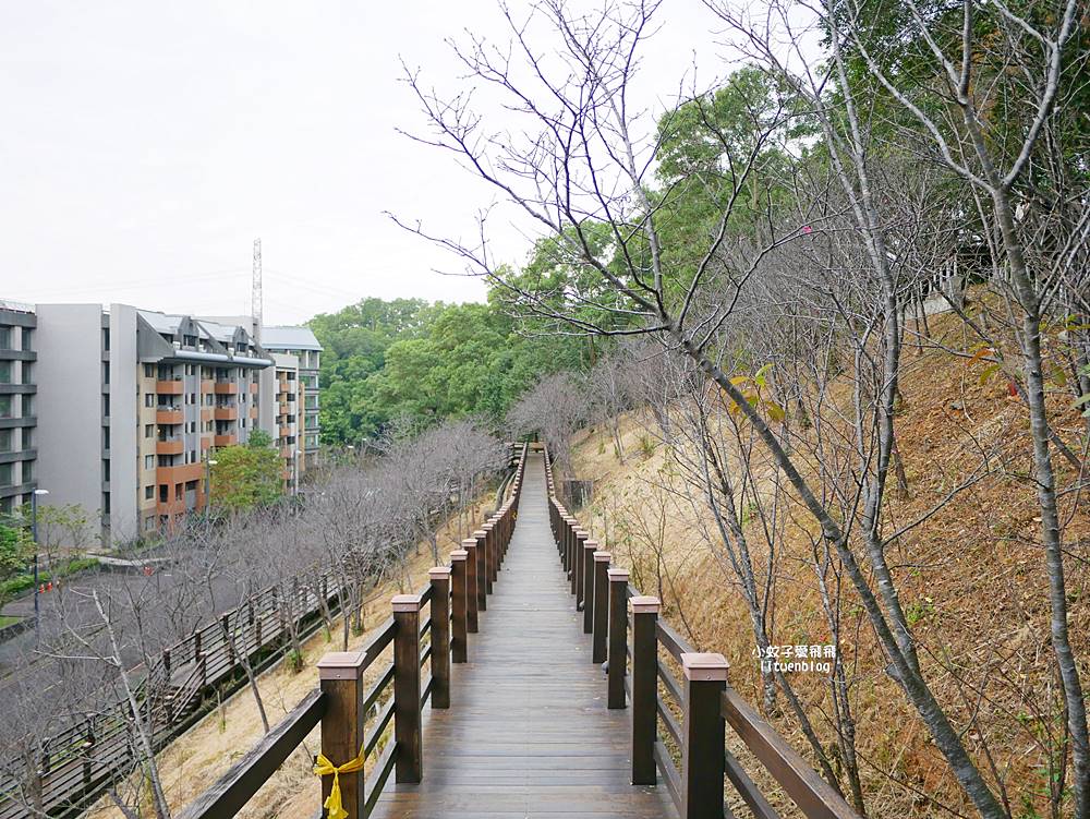 桃園「長庚養生文化村落羽松公園」環湖落羽松林與倒影優美浪漫