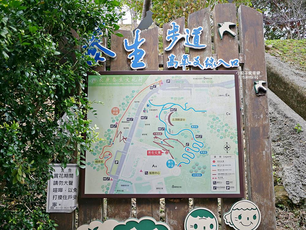 桃園「長庚養生文化村落羽松公園」環湖落羽松林與倒影優美浪漫