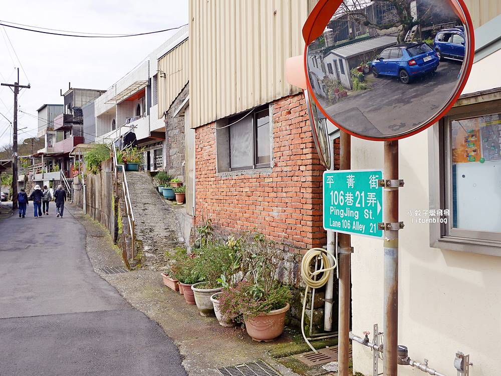 陽明山景點「鵝尾山水田｜鵝尾山水梯田木棧道」廣闊梯田稻浪棧橋，賞波斯菊櫻花