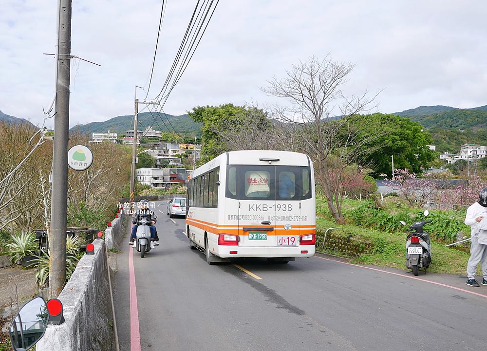 陽明山景點「鵝尾山水田｜鵝尾山水梯田木棧道」廣闊梯田稻浪棧橋，賞波斯菊櫻花