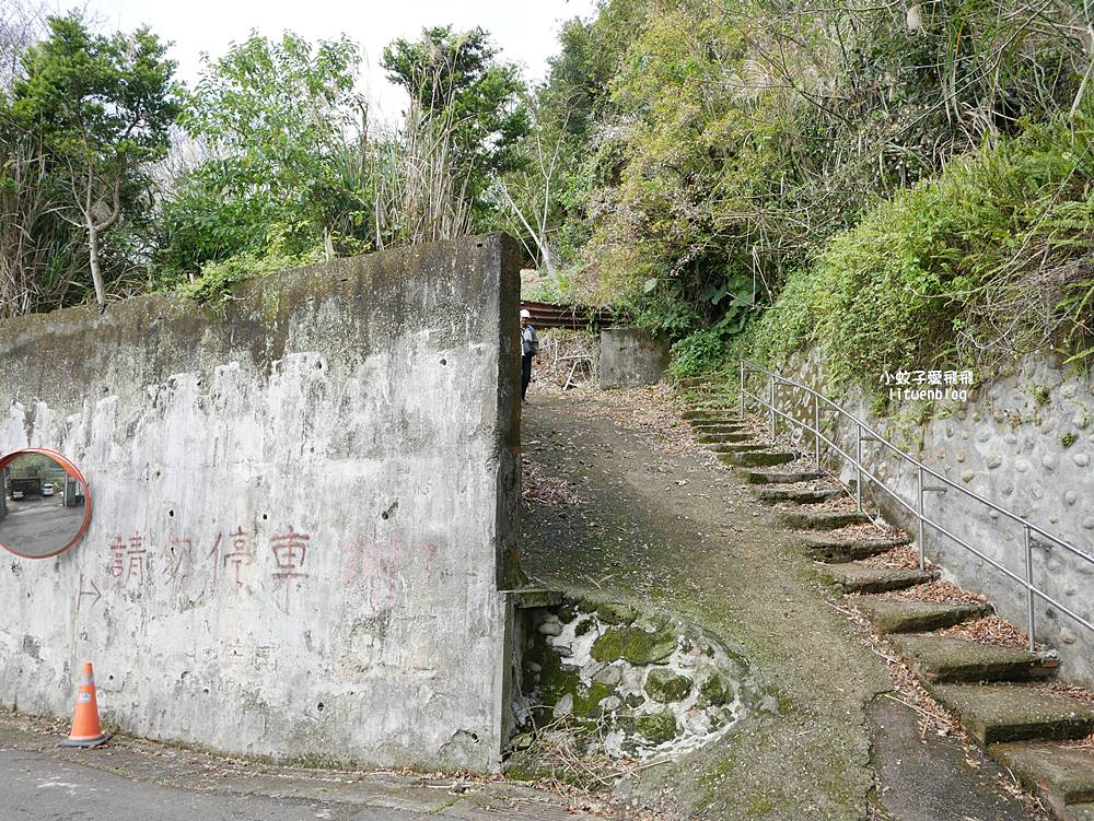 陽明山景點「鵝尾山水田｜鵝尾山水梯田木棧道」廣闊梯田稻浪棧橋，賞波斯菊櫻花