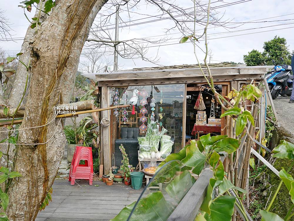 陽明山景點「鵝尾山水田｜鵝尾山水梯田木棧道」廣闊梯田稻浪棧橋，賞波斯菊櫻花
