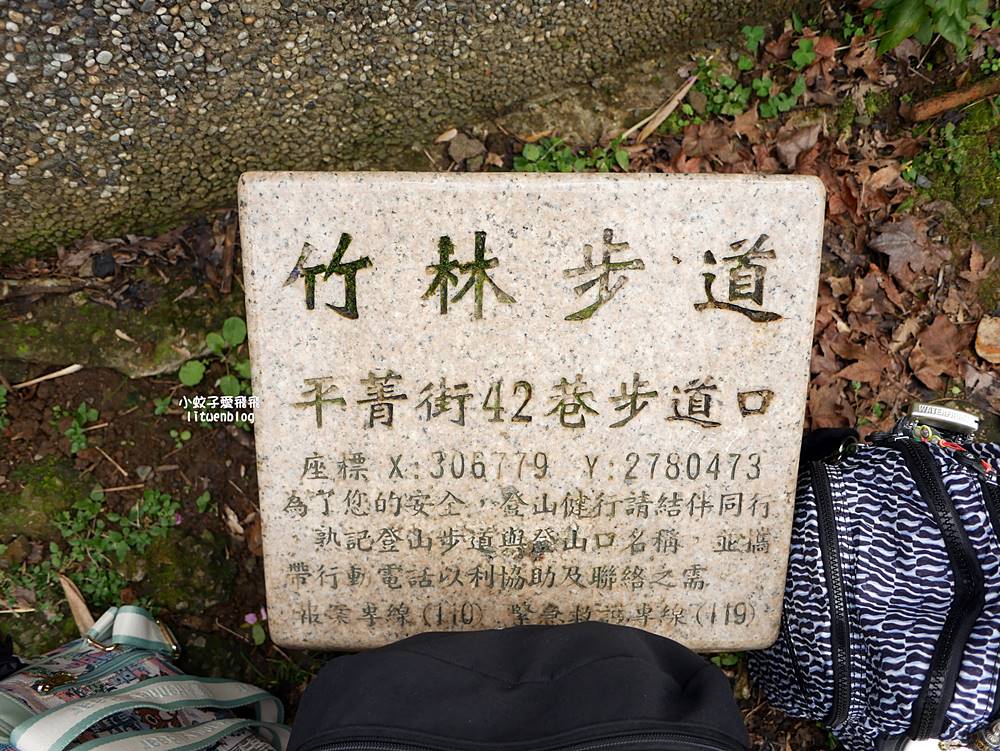 二訪2026平菁街櫻花巷，最新花況與交通方式
