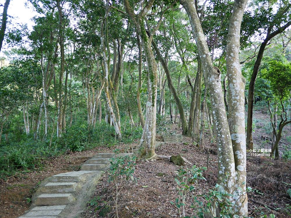 三峽景點「法鼓山天南寺」三峽小法鼓山質樸優美的禪修道場