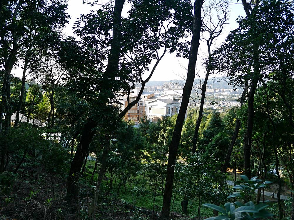 三峽景點「法鼓山天南寺」三峽小法鼓山質樸優美的禪修道場