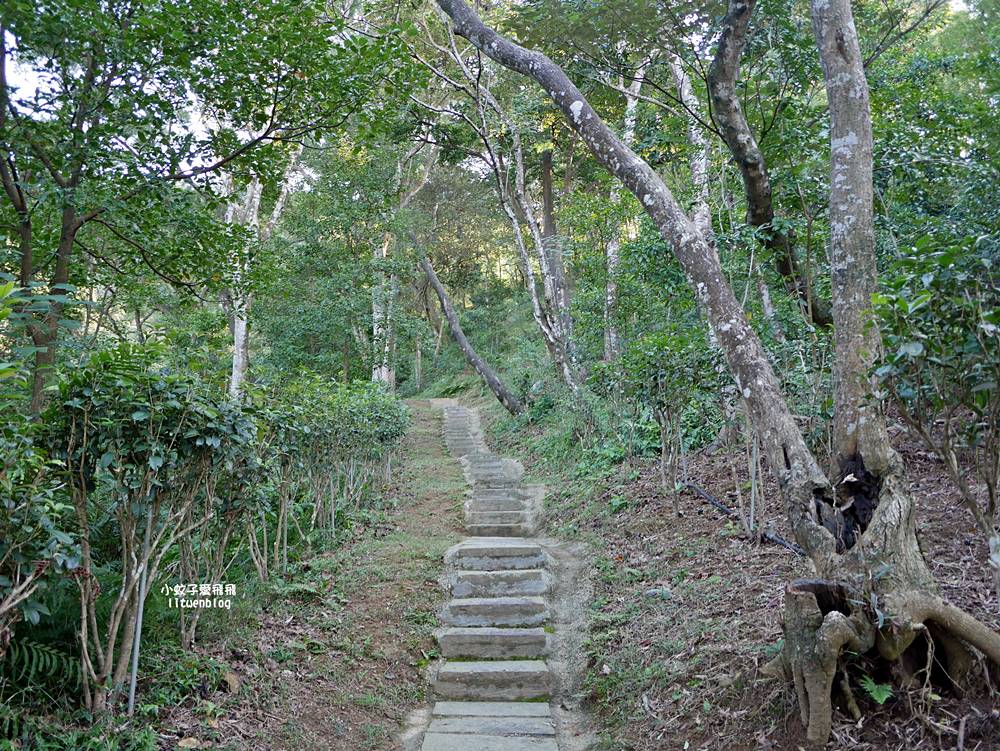 三峽景點「法鼓山天南寺」三峽小法鼓山質樸優美的禪修道場