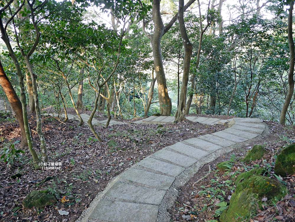 三峽景點「法鼓山天南寺」三峽小法鼓山質樸優美的禪修道場