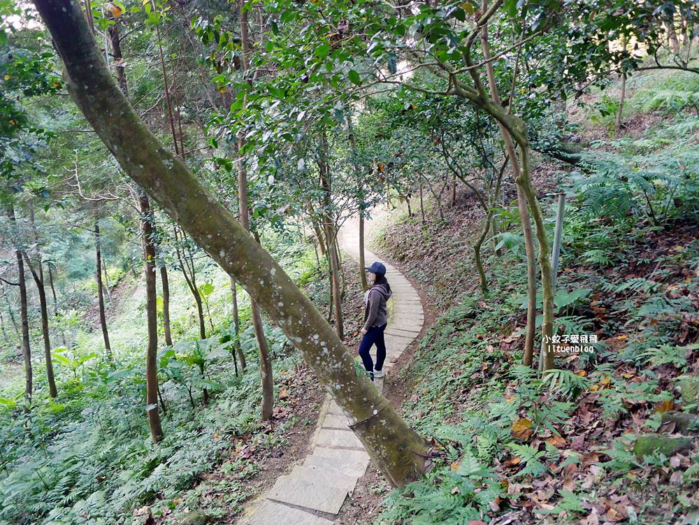 三峽景點「法鼓山天南寺」三峽小法鼓山質樸優美的禪修道場