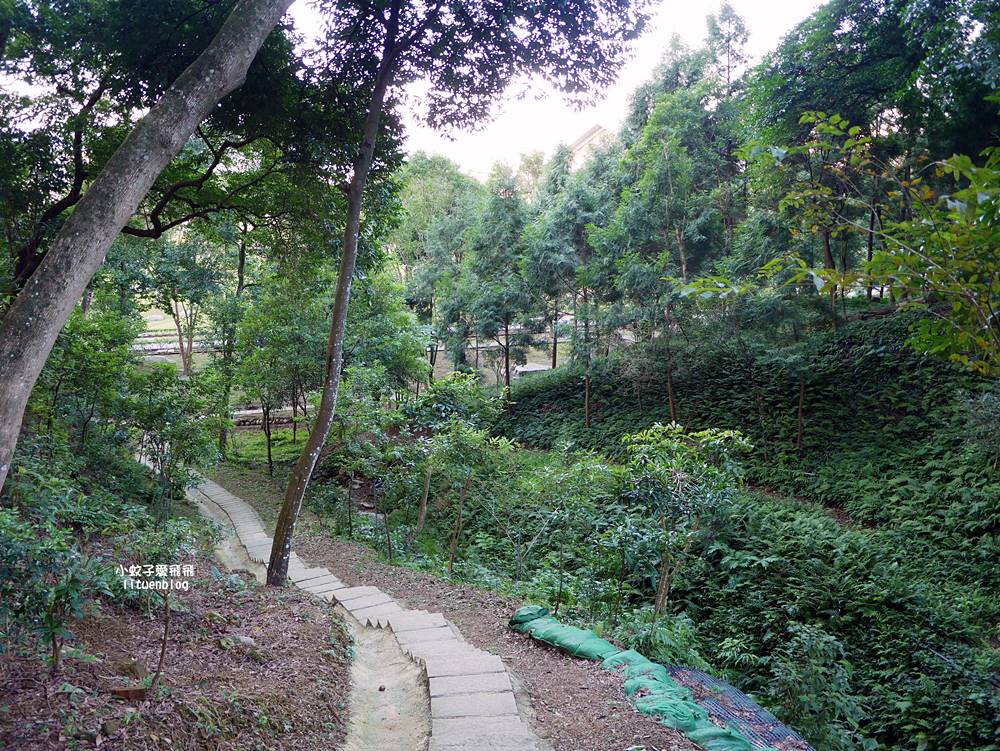 三峽景點「法鼓山天南寺」三峽小法鼓山質樸優美的禪修道場