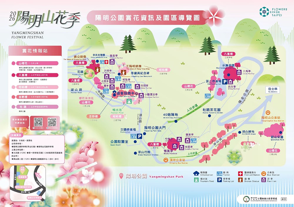 陽明山賞櫻景點「花卉試驗中心」櫻花茶花鬱金香目不暇給