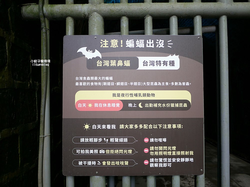 基隆新景點「劉銘傳隧道」重現台灣第一條清代鐵路隧道，獅球嶺砲台俯瞰街市基隆嶼