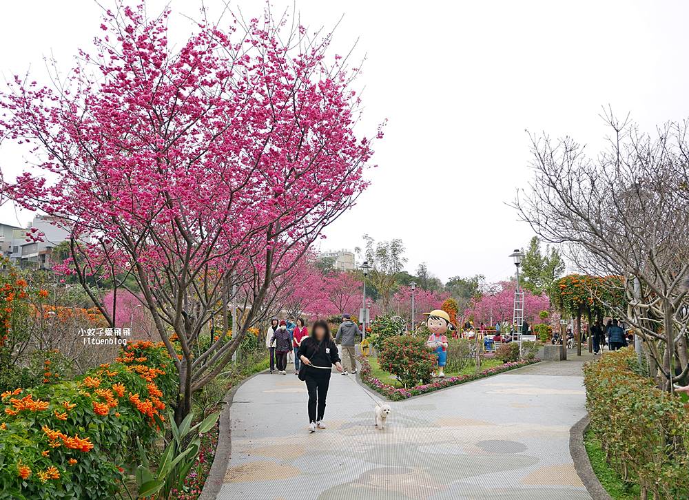 2026鶯歌永吉公園3D彩繪花廊步道、豐富兒童遊戲設施,炮仗花熱門景點,三鶯線永吉公園站 2026鶯歌永吉公園3D彩繪花廊步道、豐富兒童遊戲設施,炮仗花熱門景點,三鶯線永吉公園站