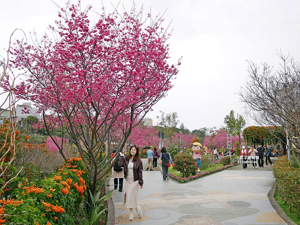 2026鶯歌永吉公園3D彩繪花廊步道、豐富兒童遊戲設施,炮仗花熱門景點,三鶯線永吉公園站 2026鶯歌永吉公園3D彩繪花廊步道、豐富兒童遊戲設施,炮仗花熱門景點,三鶯線永吉公園站