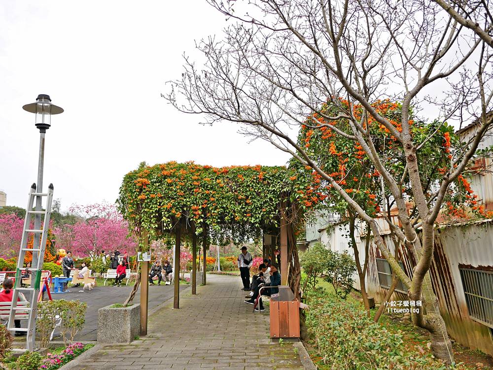 2026鶯歌永吉公園3D彩繪花廊步道、豐富兒童遊戲設施,炮仗花熱門景點,三鶯線永吉公園站 2026鶯歌永吉公園3D彩繪花廊步道、豐富兒童遊戲設施,炮仗花熱門景點,三鶯線永吉公園站