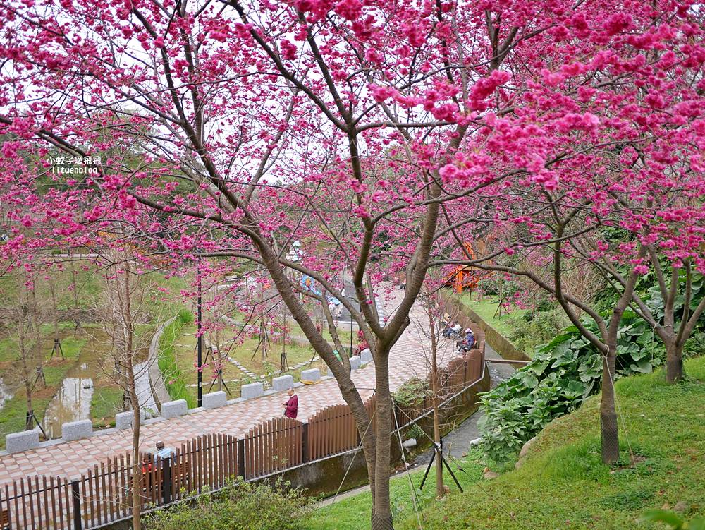 2026鶯歌永吉公園3D彩繪花廊步道、豐富兒童遊戲設施,炮仗花熱門景點,三鶯線永吉公園站 2026鶯歌永吉公園3D彩繪花廊步道、豐富兒童遊戲設施,炮仗花熱門景點,三鶯線永吉公園站