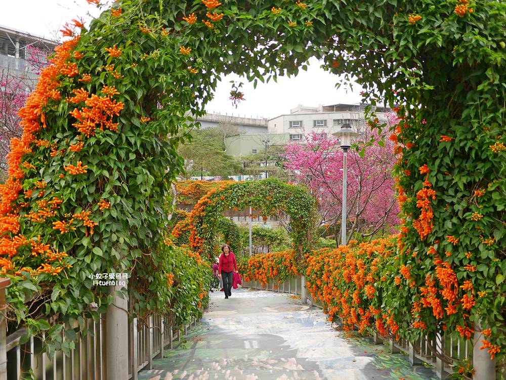 2026鶯歌永吉公園3D彩繪花廊步道、豐富兒童遊戲設施,炮仗花熱門景點,三鶯線永吉公園站 2026鶯歌永吉公園3D彩繪花廊步道、豐富兒童遊戲設施,炮仗花熱門景點,三鶯線永吉公園站