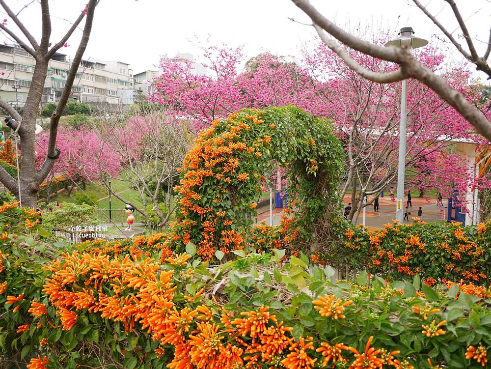 2026鶯歌永吉公園3D彩繪花廊步道、豐富兒童遊戲設施,炮仗花熱門景點,三鶯線永吉公園站 2026鶯歌永吉公園3D彩繪花廊步道、豐富兒童遊戲設施,炮仗花熱門景點,三鶯線永吉公園站