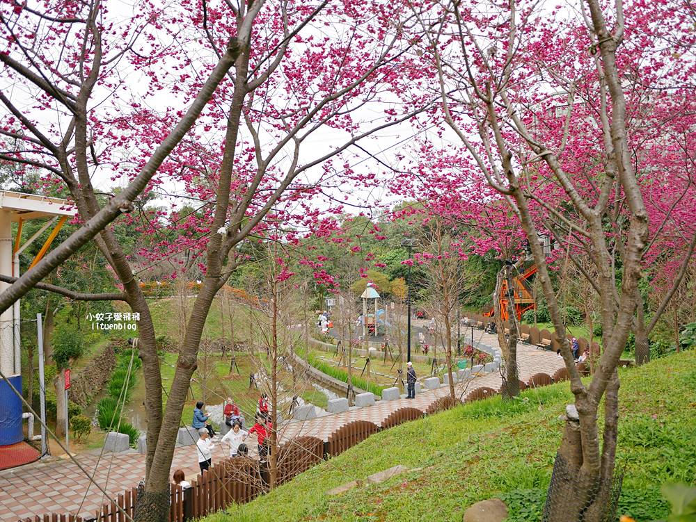 2026鶯歌永吉公園3D彩繪花廊步道、豐富兒童遊戲設施,炮仗花熱門景點,三鶯線永吉公園站 2026鶯歌永吉公園3D彩繪花廊步道、豐富兒童遊戲設施,炮仗花熱門景點,三鶯線永吉公園站