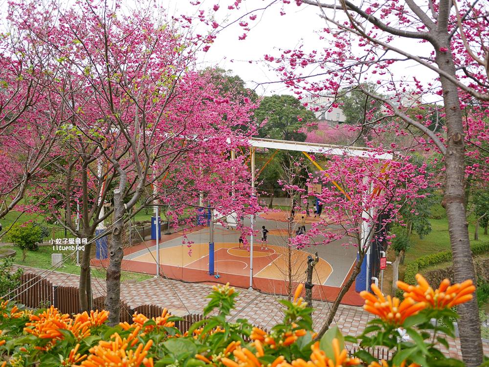 2026鶯歌永吉公園3D彩繪花廊步道、豐富兒童遊戲設施,炮仗花熱門景點,三鶯線永吉公園站 2026鶯歌永吉公園3D彩繪花廊步道、豐富兒童遊戲設施,炮仗花熱門景點,三鶯線永吉公園站