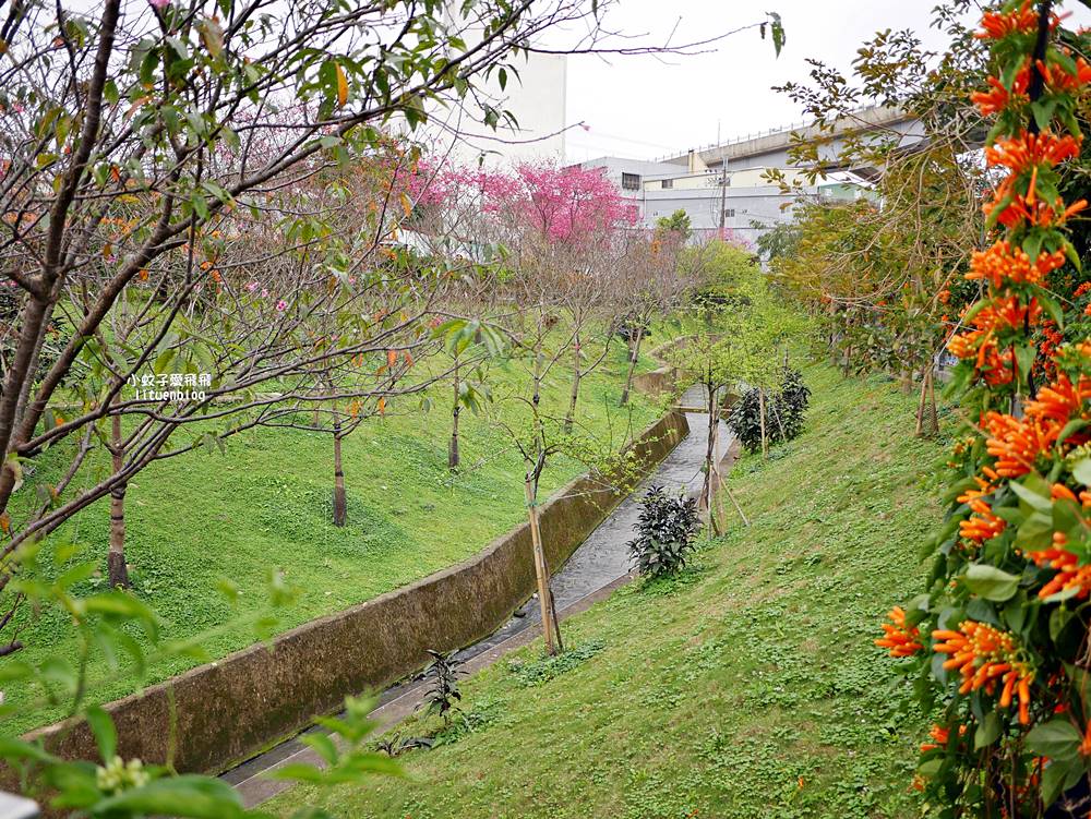 2026鶯歌永吉公園3D彩繪花廊步道、豐富兒童遊戲設施,炮仗花熱門景點,三鶯線永吉公園站 2026鶯歌永吉公園3D彩繪花廊步道、豐富兒童遊戲設施,炮仗花熱門景點,三鶯線永吉公園站