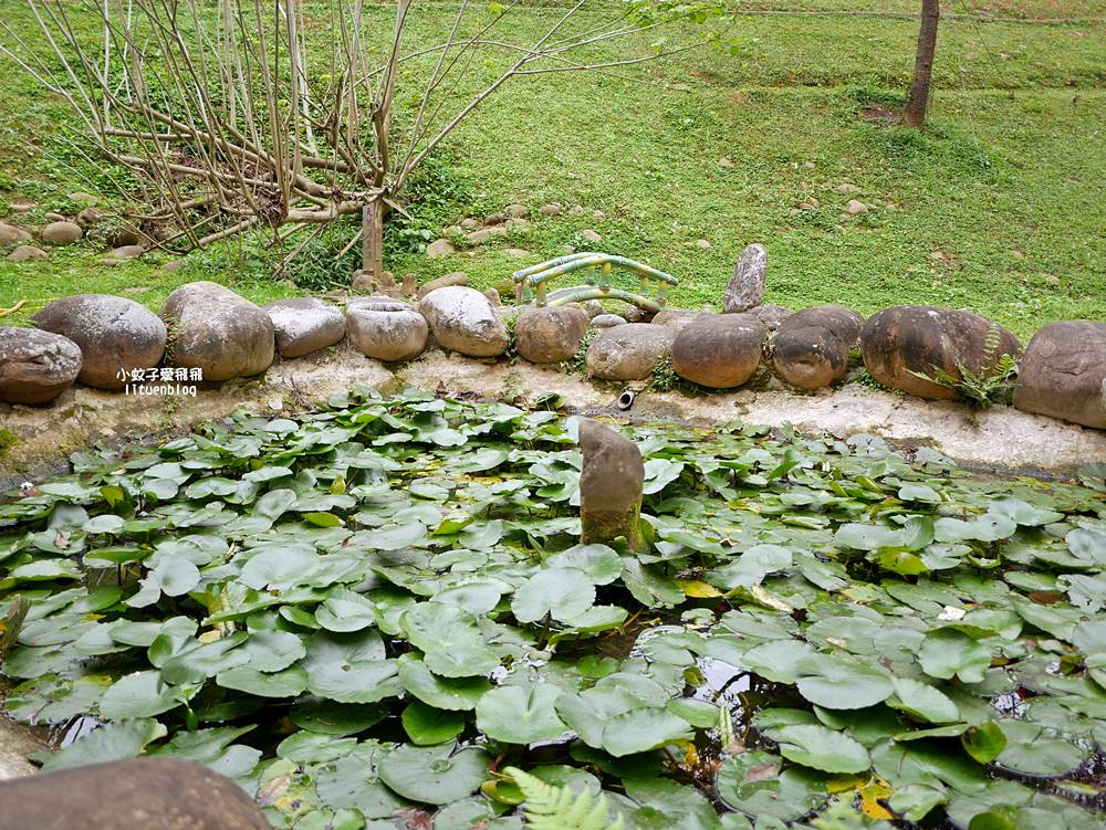 2026鶯歌永吉公園3D彩繪花廊步道、豐富兒童遊戲設施,炮仗花熱門景點,三鶯線永吉公園站 2026鶯歌永吉公園3D彩繪花廊步道、豐富兒童遊戲設施,炮仗花熱門景點,三鶯線永吉公園站