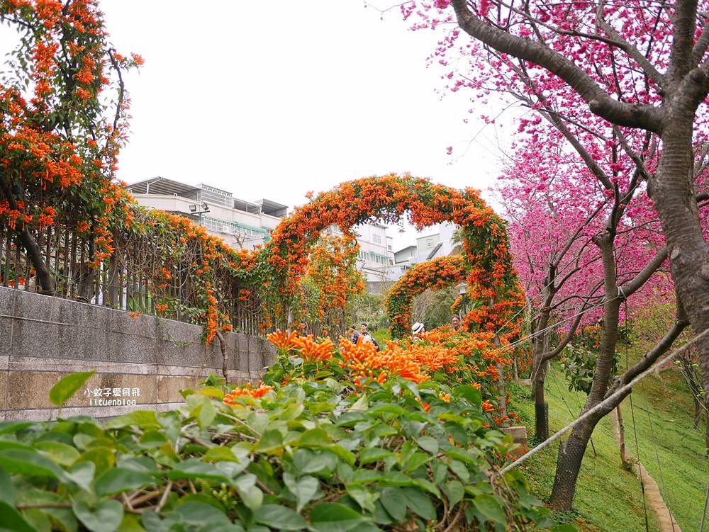 2026鶯歌永吉公園3D彩繪花廊步道、豐富兒童遊戲設施，炮仗花熱門景點，三鶯線永吉公園站