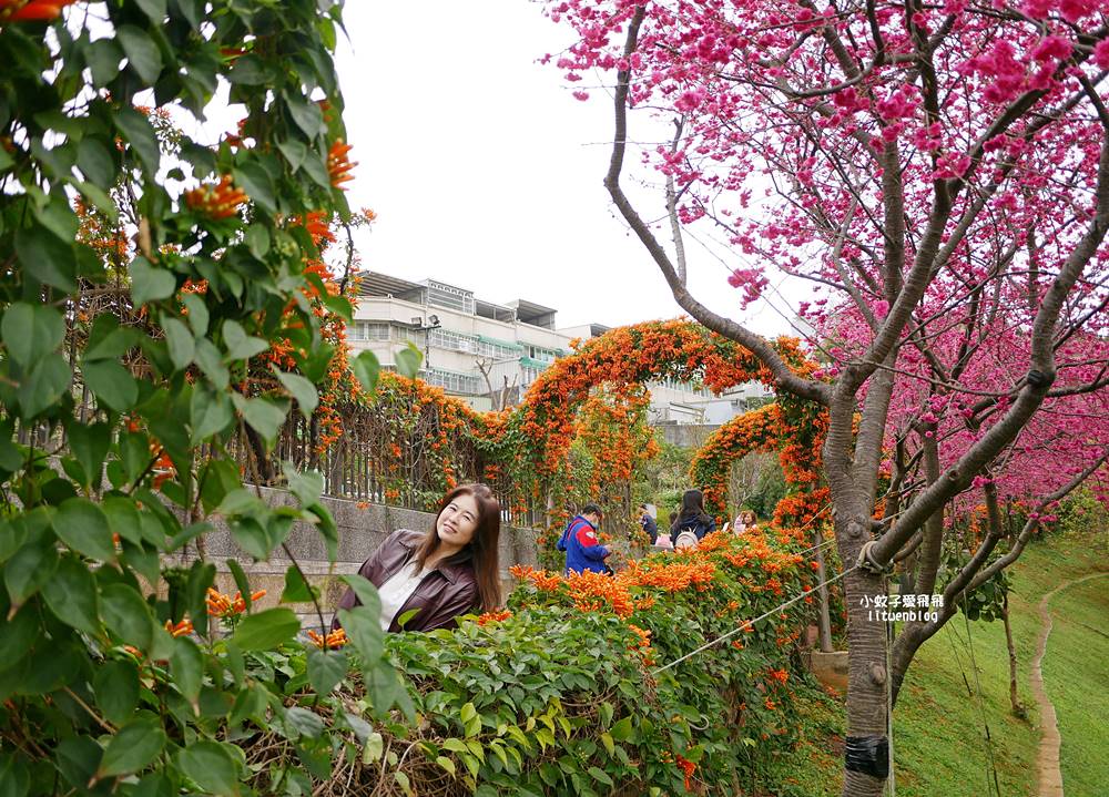 2026鶯歌永吉公園3D彩繪花廊步道、豐富兒童遊戲設施,炮仗花熱門景點,三鶯線永吉公園站 2026鶯歌永吉公園3D彩繪花廊步道、豐富兒童遊戲設施,炮仗花熱門景點,三鶯線永吉公園站
