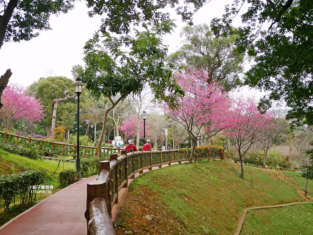 2026鶯歌永吉公園3D彩繪花廊步道、豐富兒童遊戲設施,炮仗花熱門景點,三鶯線永吉公園站 2026鶯歌永吉公園3D彩繪花廊步道、豐富兒童遊戲設施,炮仗花熱門景點,三鶯線永吉公園站