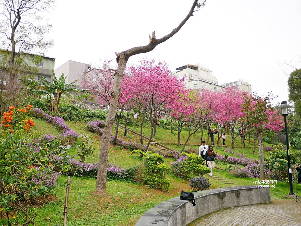 2026鶯歌永吉公園3D彩繪花廊步道、豐富兒童遊戲設施,炮仗花熱門景點,三鶯線永吉公園站 2026鶯歌永吉公園3D彩繪花廊步道、豐富兒童遊戲設施,炮仗花熱門景點,三鶯線永吉公園站