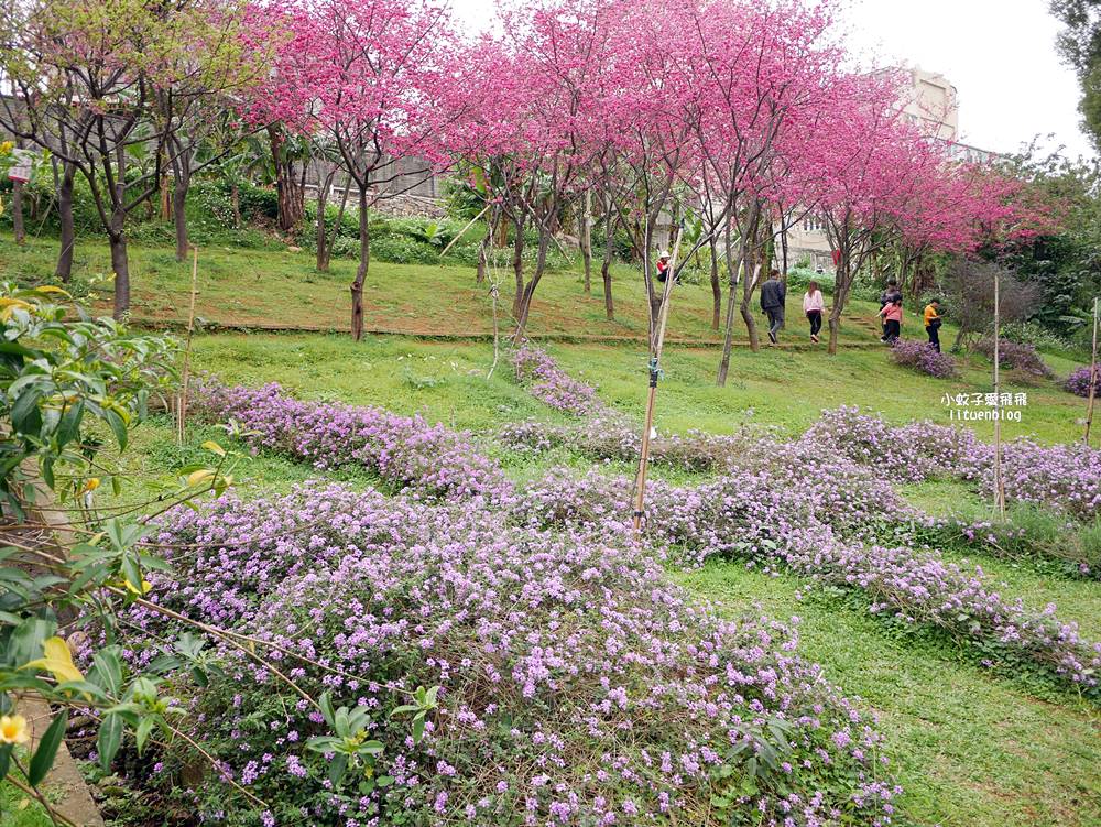 2026鶯歌永吉公園3D彩繪花廊步道、豐富兒童遊戲設施,炮仗花熱門景點,三鶯線永吉公園站 2026鶯歌永吉公園3D彩繪花廊步道、豐富兒童遊戲設施,炮仗花熱門景點,三鶯線永吉公園站