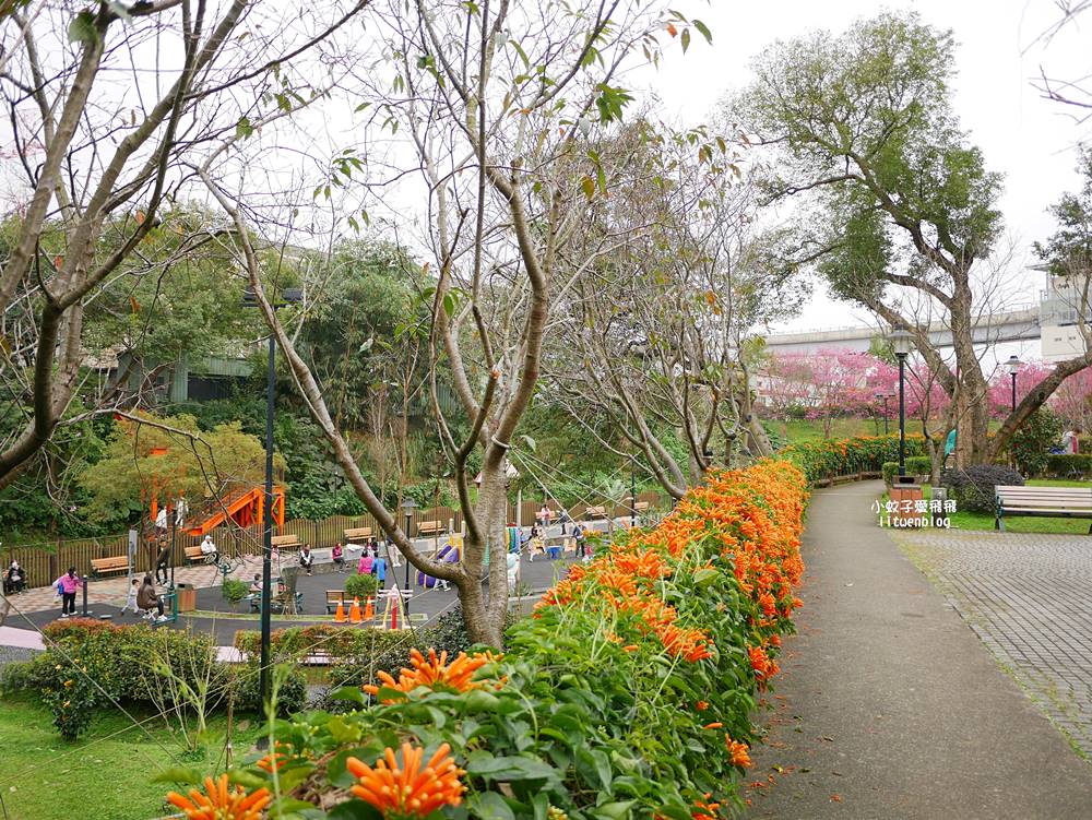 2026鶯歌永吉公園3D彩繪花廊步道、豐富兒童遊戲設施,炮仗花熱門景點,三鶯線永吉公園站 2026鶯歌永吉公園3D彩繪花廊步道、豐富兒童遊戲設施,炮仗花熱門景點,三鶯線永吉公園站