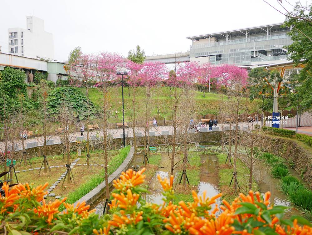 2026鶯歌永吉公園3D彩繪花廊步道、豐富兒童遊戲設施,炮仗花熱門景點,三鶯線永吉公園站 2026鶯歌永吉公園3D彩繪花廊步道、豐富兒童遊戲設施,炮仗花熱門景點,三鶯線永吉公園站
