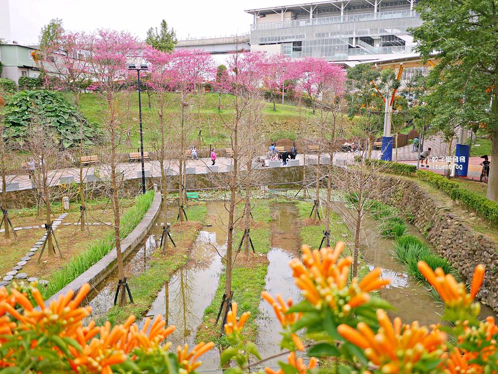 2026鶯歌永吉公園3D彩繪花廊步道、豐富兒童遊戲設施,炮仗花熱門景點,三鶯線永吉公園站 2026鶯歌永吉公園3D彩繪花廊步道、豐富兒童遊戲設施,炮仗花熱門景點,三鶯線永吉公園站