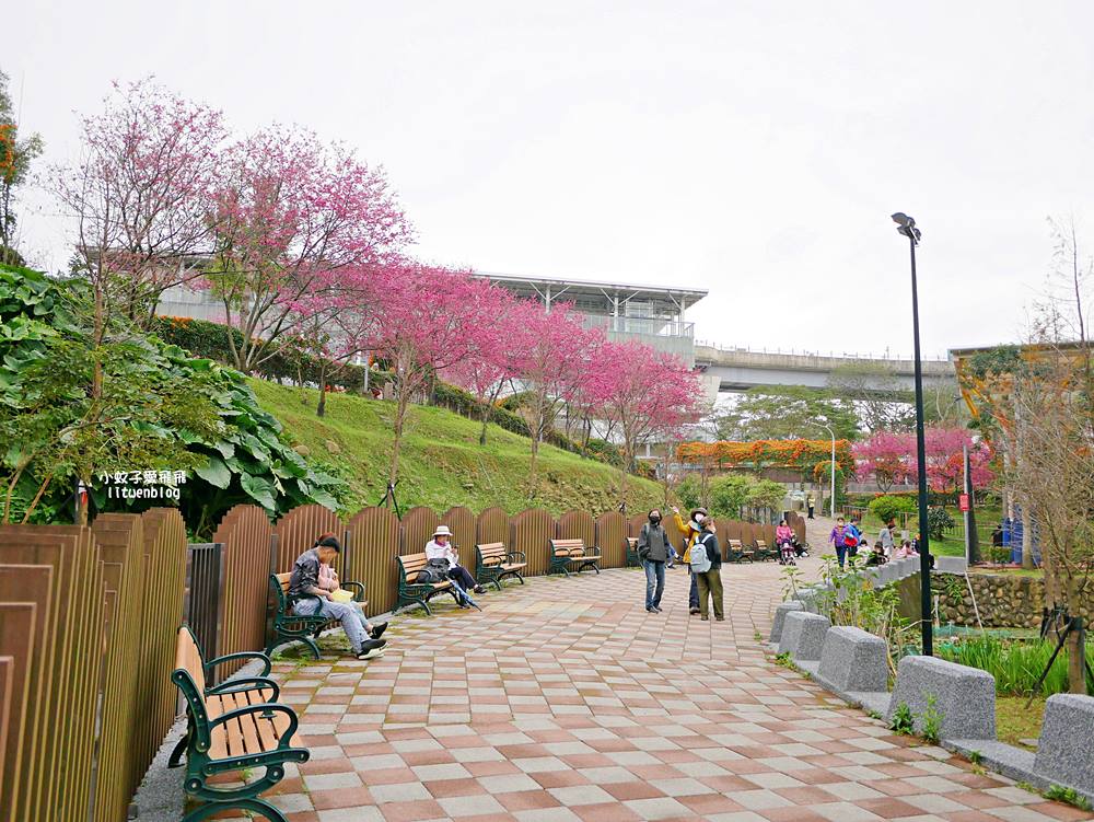 2026鶯歌永吉公園3D彩繪花廊步道、豐富兒童遊戲設施,炮仗花熱門景點,三鶯線永吉公園站 2026鶯歌永吉公園3D彩繪花廊步道、豐富兒童遊戲設施,炮仗花熱門景點,三鶯線永吉公園站