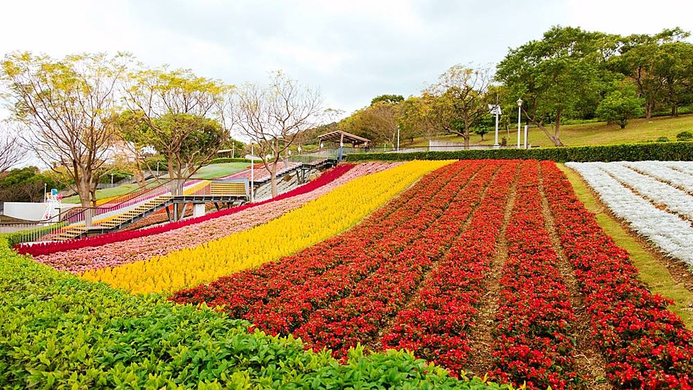 2026北投三層崎公園「彩色浪花海」浪濤般繽紛地毯
