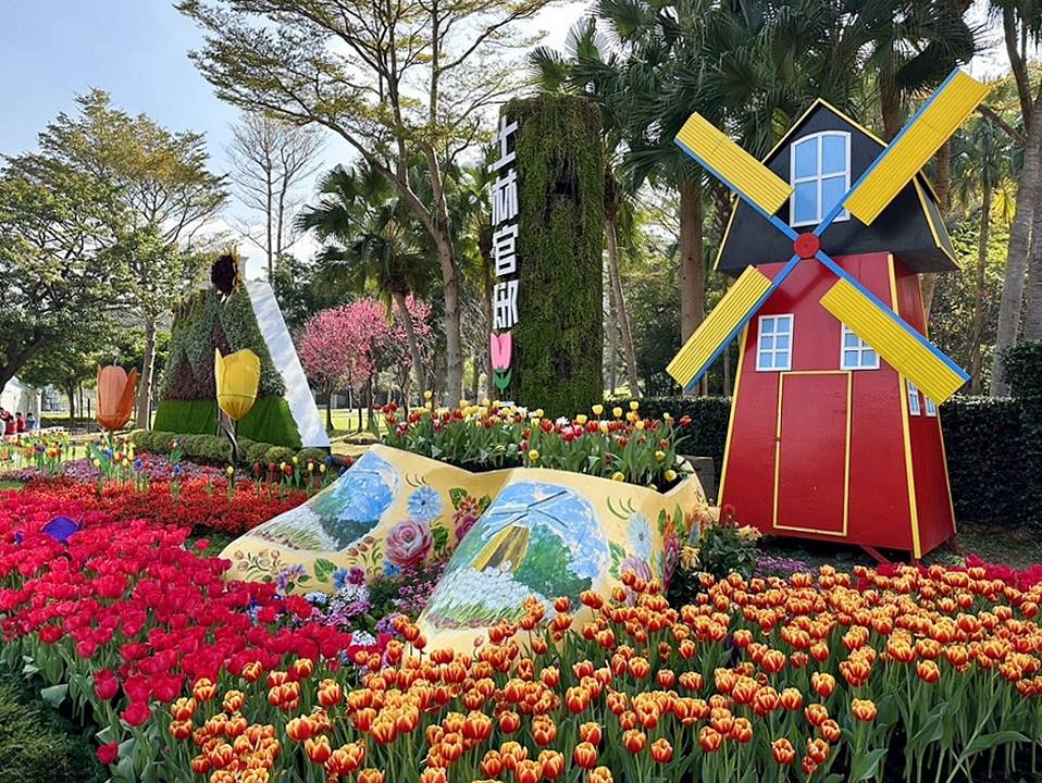 2026士林官邸鬱金香展，2/26花卉盛會浪漫滿園