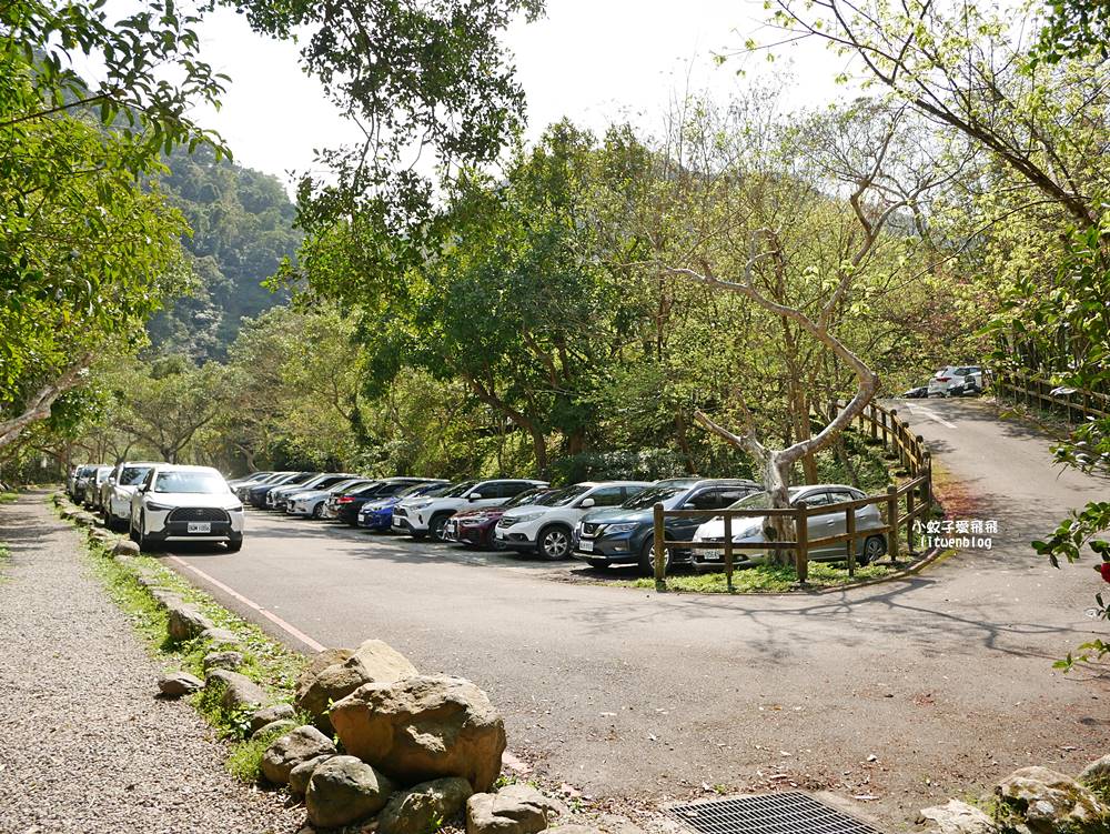 三峽景點「滿月圓國家森林遊樂區」滿月圓瀑布&彩虹乍現處女瀑布，柳杉林生態豐富放鬆養心