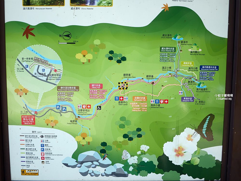 三峽景點「滿月圓國家森林遊樂區」滿月圓瀑布&彩虹乍現處女瀑布，柳杉林生態豐富放鬆養心