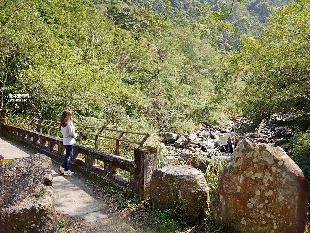 三峽景點「滿月圓國家森林遊樂區」滿月圓瀑布&彩虹乍現處女瀑布，柳杉林生態豐富放鬆養心