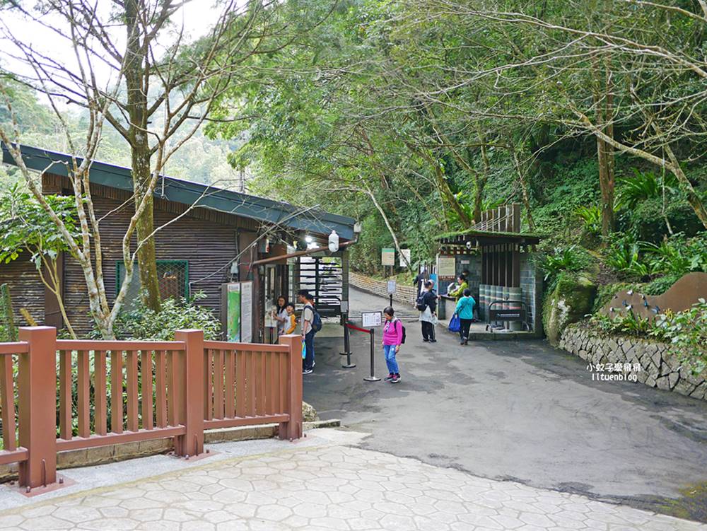 三峽景點「滿月圓國家森林遊樂區」滿月圓瀑布&彩虹乍現處女瀑布，柳杉林生態豐富放鬆養心