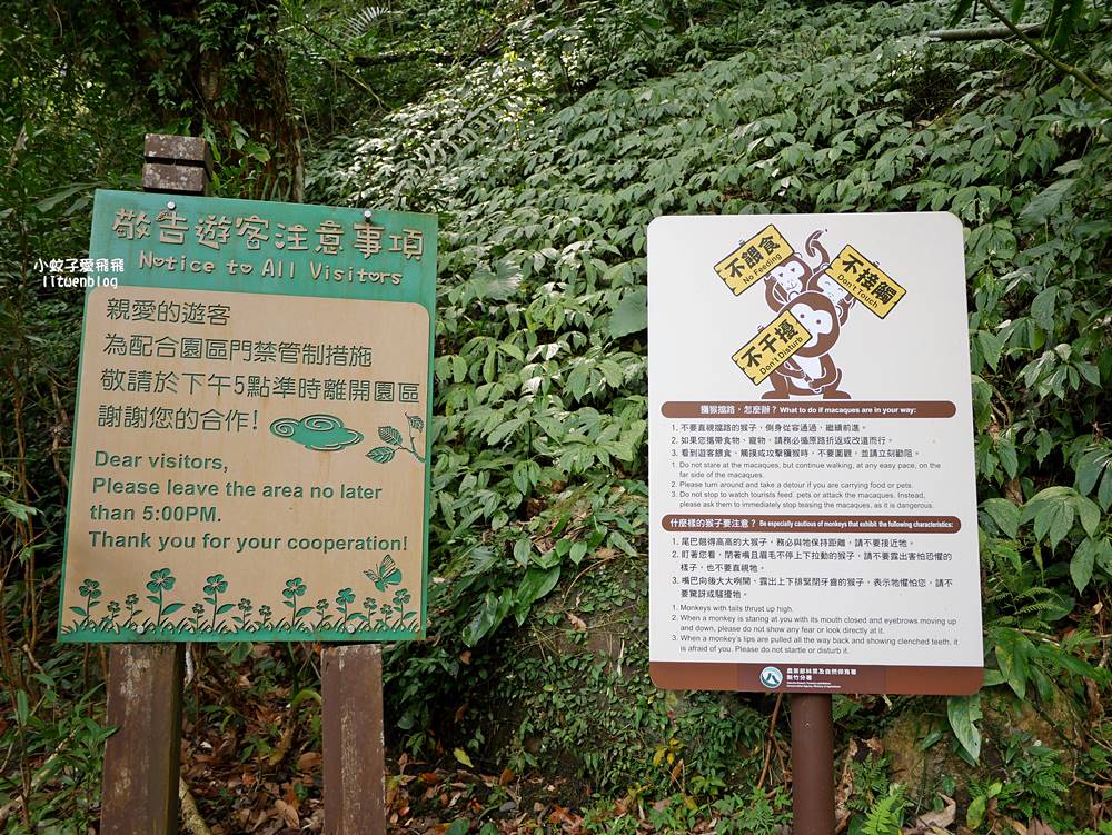 三峽景點「滿月圓國家森林遊樂區」滿月圓瀑布&彩虹乍現處女瀑布，柳杉林生態豐富放鬆養心