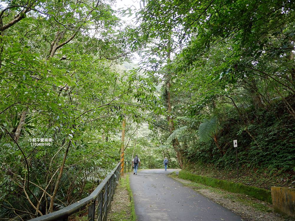 三峽景點「滿月圓國家森林遊樂區」滿月圓瀑布&彩虹乍現處女瀑布，柳杉林生態豐富放鬆養心