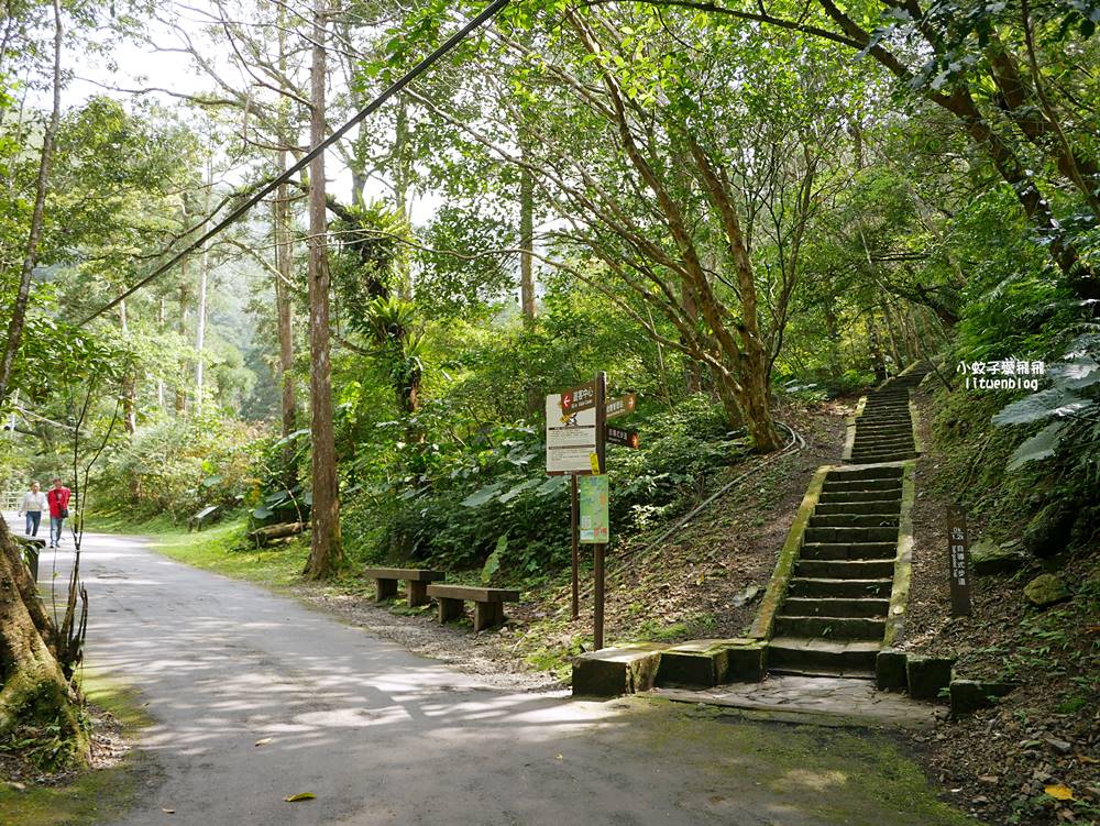 三峽景點「滿月圓國家森林遊樂區」滿月圓瀑布&彩虹乍現處女瀑布，柳杉林生態豐富放鬆養心