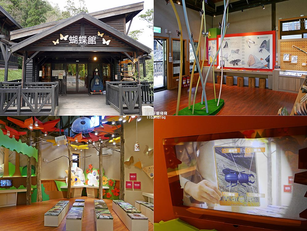 三峽景點「滿月圓國家森林遊樂區」滿月圓瀑布&彩虹乍現處女瀑布，柳杉林生態豐富放鬆養心
