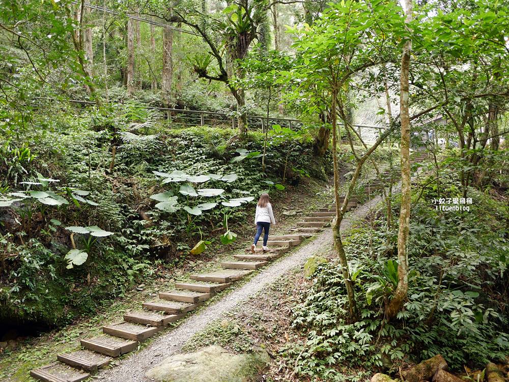 三峽景點「滿月圓國家森林遊樂區」滿月圓瀑布&彩虹乍現處女瀑布，柳杉林生態豐富放鬆養心