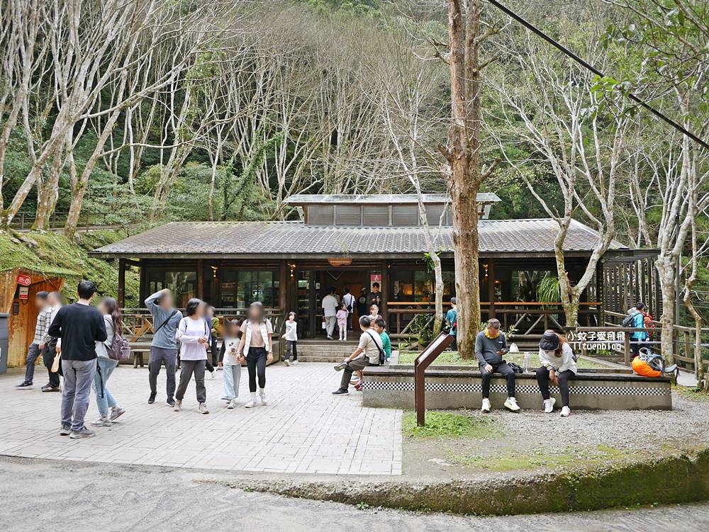 三峽景點「滿月圓國家森林遊樂區」滿月圓瀑布&彩虹乍現處女瀑布，柳杉林生態豐富放鬆養心