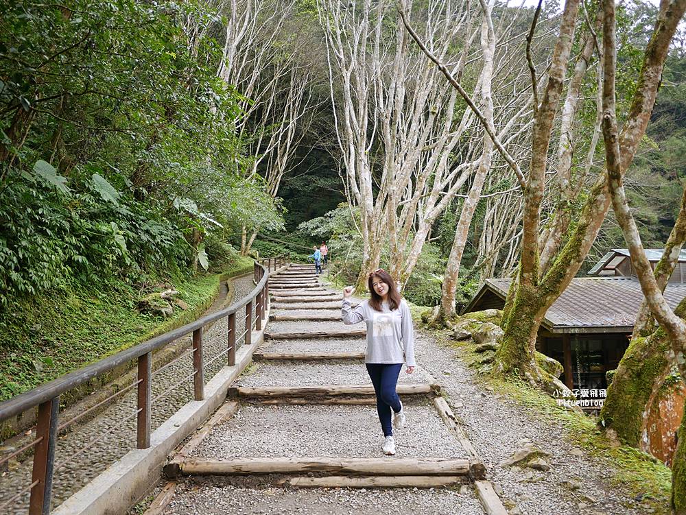 三峽景點「滿月圓國家森林遊樂區」滿月圓瀑布&彩虹乍現處女瀑布，柳杉林生態豐富放鬆養心